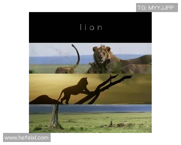 王朝崛起的背后王者之师如何铸就辉煌传奇的体育团队纪录片